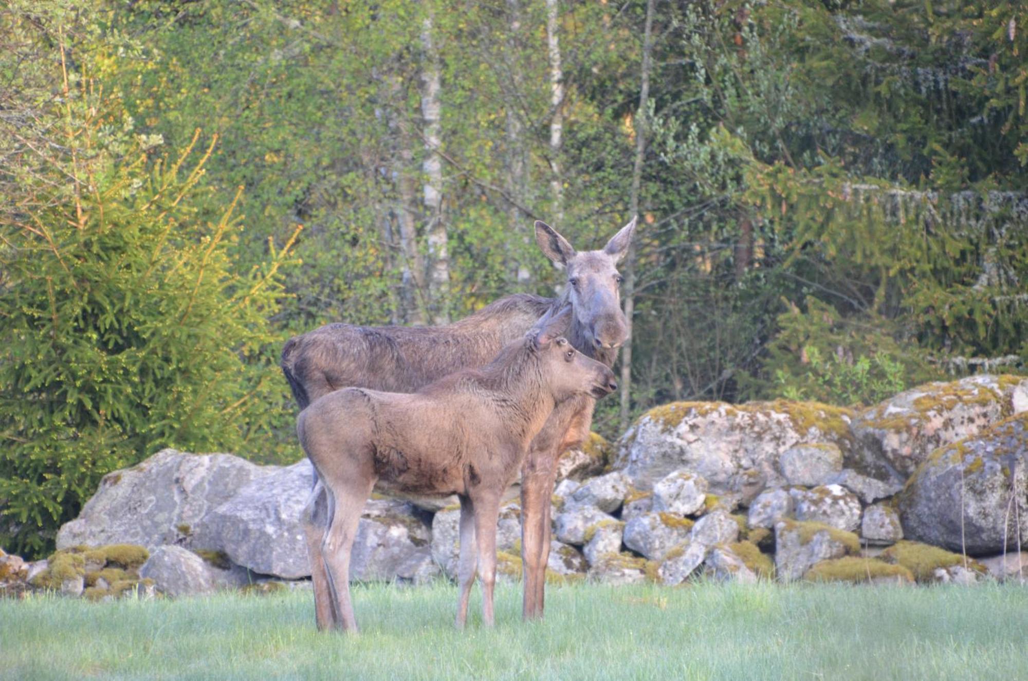Ostello Soedra Ljunga *